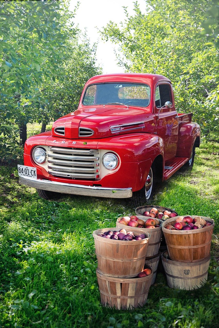 vintage, red, truck, apple orchard, apples, harvest, fall, autumn, classic, antique, green apple, green truck, green vintage, truck, truck, truck, apple orchard, apple orchard, apple orchard, apple orchard, apple orchard
